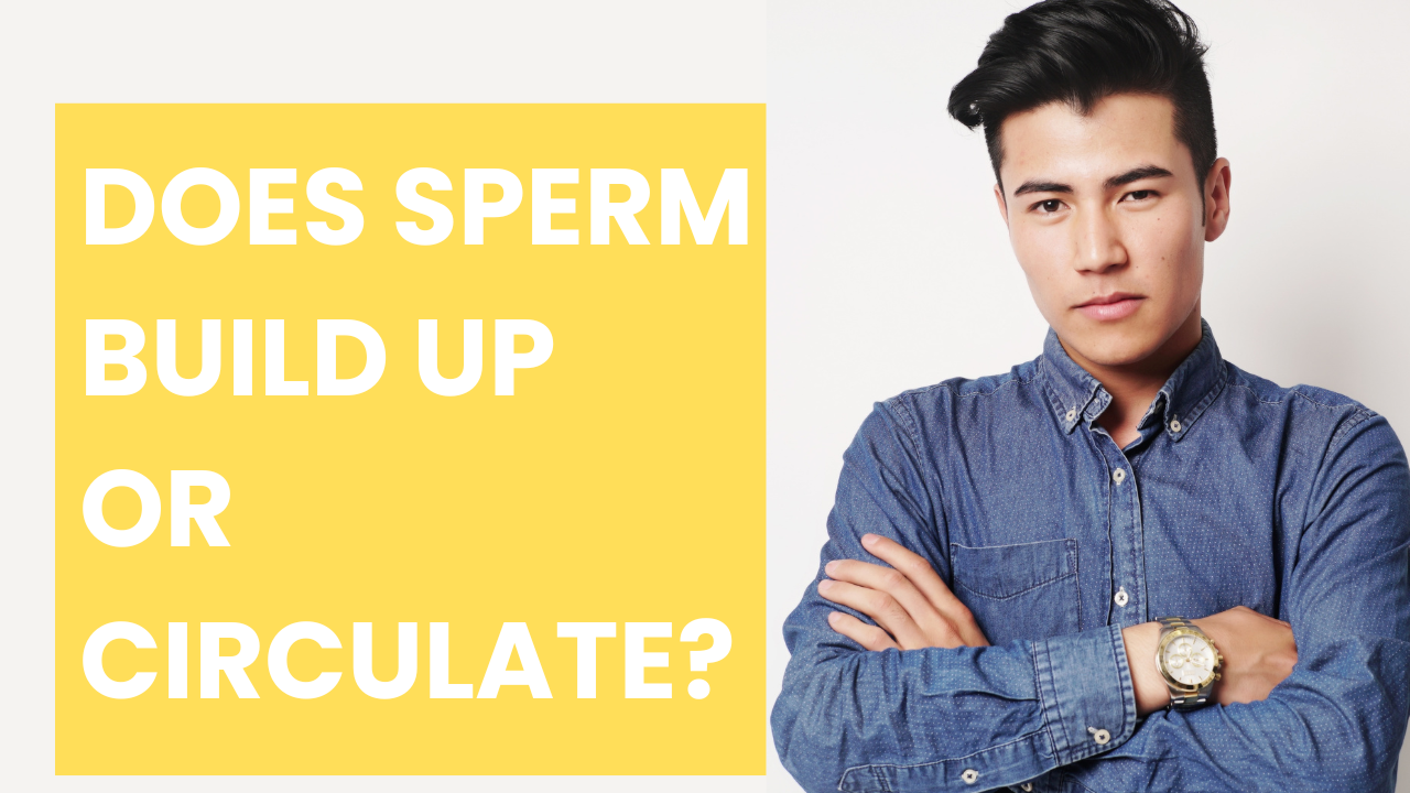 Does sperm build up