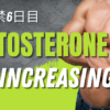 Testosterone Increasing