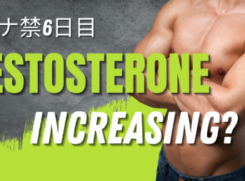 Testosterone Increasing