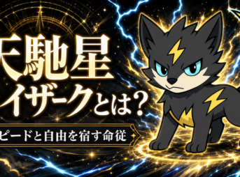 天馳星 ライザークとは？